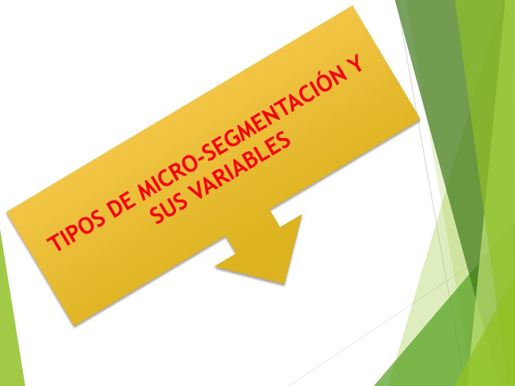 TIPOS DE MICRO-SEGMENTACIÓN Y SUS VARIABLES