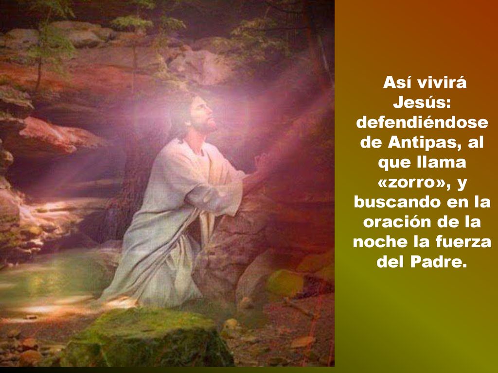 Así vivirá Jesús: defendiéndose de Antipas, al que llama «zorro», y buscando en la oración de la noche la fuerza del Padre.