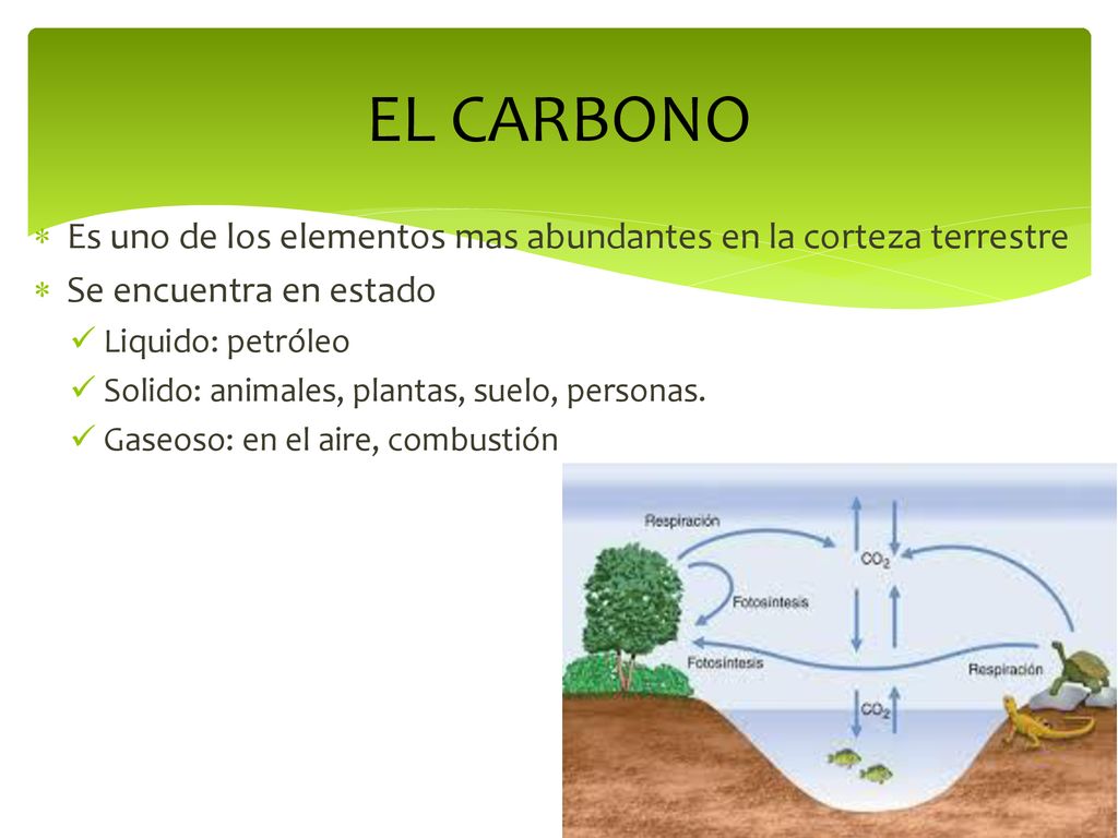 EL CARBONO Es uno de los elementos mas abundantes en la corteza terrestre. Se encuentra en estado.