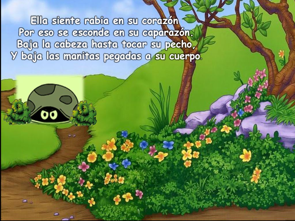 Ella siente rabia en su corazón Por eso se esconde en su caparazón.