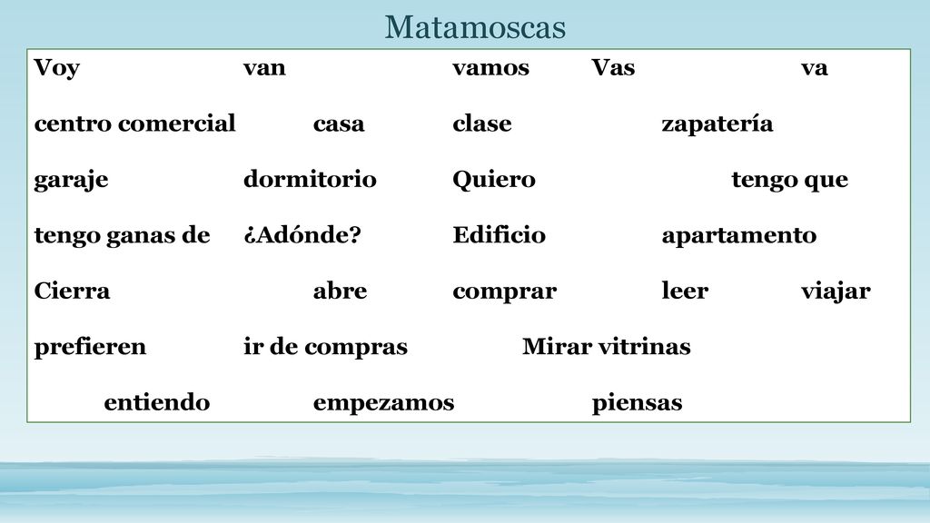 Matamoscas Voy van vamos Vas va centro comercial casa clase zapatería