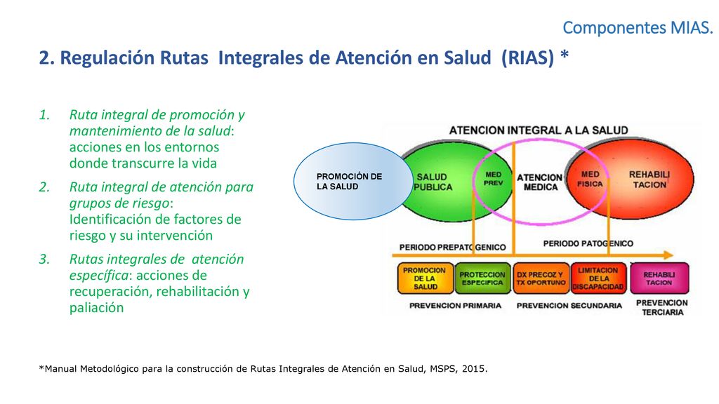 2. Regulación Rutas Integrales de Atención en Salud (RIAS) *
