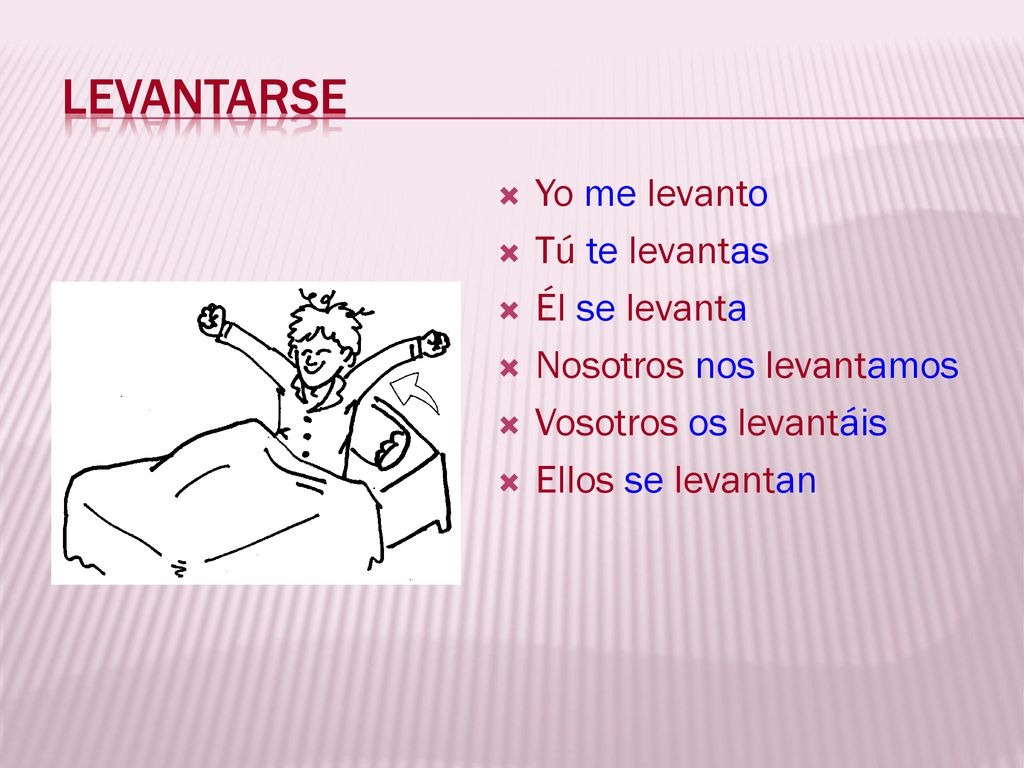 Levantarse Yo me levanto Tú te levantas Él se levanta
