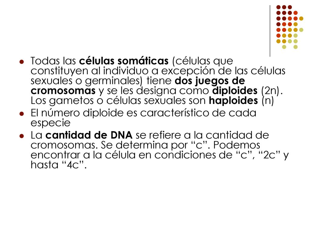 Todas las células somáticas (células que constituyen al individuo a excepción de las células sexuales o germinales) tiene dos juegos de cromosomas y se les designa como diploides (2n). Los gametos o células sexuales son haploides (n)