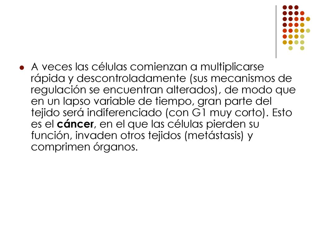 A veces las células comienzan a multiplicarse rápida y descontroladamente (sus mecanismos de regulación se encuentran alterados), de modo que en un lapso variable de tiempo, gran parte del tejido será indiferenciado (con G1 muy corto).