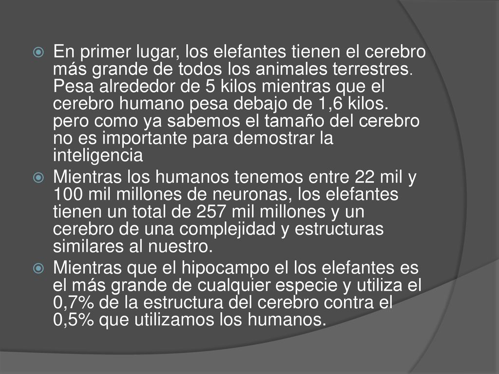 En primer lugar, los elefantes tienen el cerebro más grande de todos los animales terrestres. Pesa alrededor de 5 kilos mientras que el cerebro humano pesa debajo de 1,6 kilos. pero como ya sabemos el tamaño del cerebro no es importante para demostrar la inteligencia