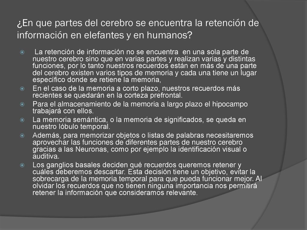 ¿En que partes del cerebro se encuentra la retención de información en elefantes y en humanos