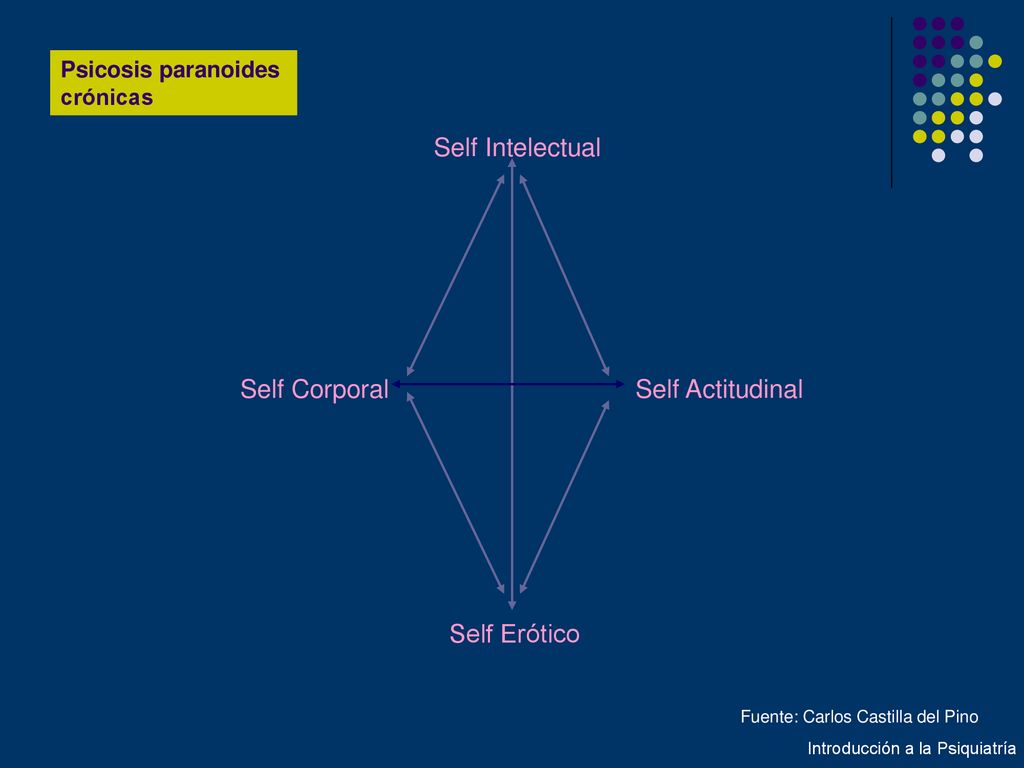Self Erótico Self Intelectual Self Corporal Self Actitudinal