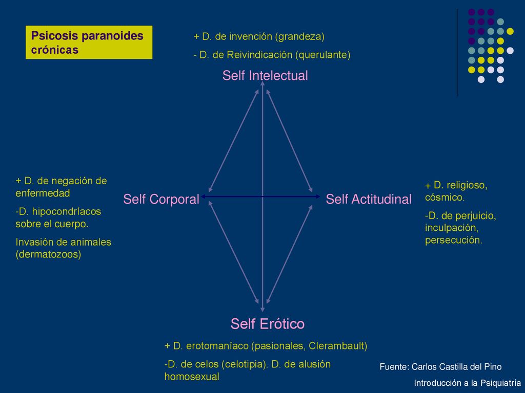 Self Erótico Self Intelectual Self Corporal Self Actitudinal