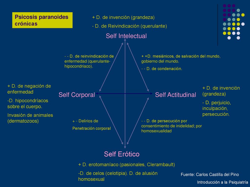 Self Erótico Self Intelectual Self Corporal Self Actitudinal
