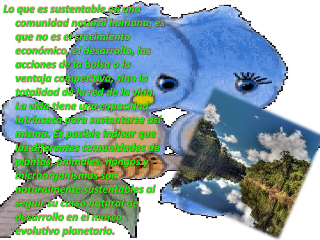 Lo que es sustentable en una comunidad natural humana, es que no es el crecimiento económico, el desarrollo, las acciones de la bolsa o la ventaja competitiva, sino la totalidad de la red de la vida.