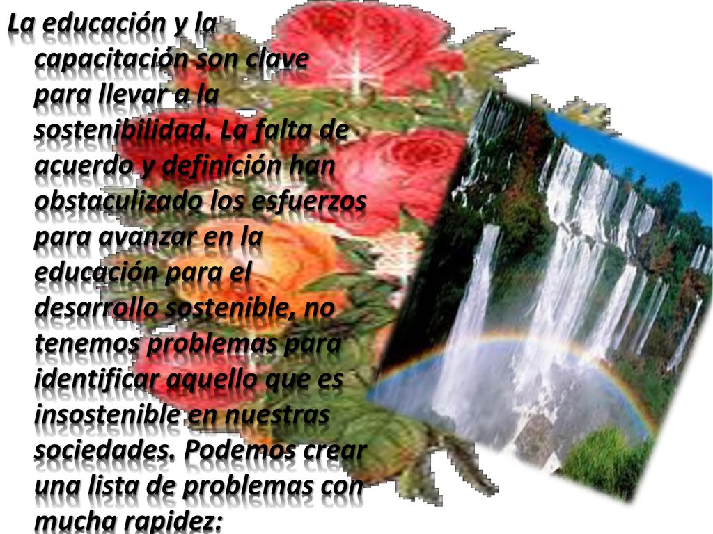 La educación y la capacitación son clave para llevar a la sostenibilidad.