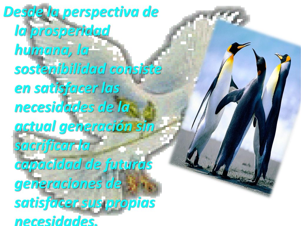 Desde la perspectiva de la prosperidad humana, la sostenibilidad consiste en satisfacer las necesidades de la actual generación sin sacrificar la capacidad de futuras generaciones de satisfacer sus propias necesidades.