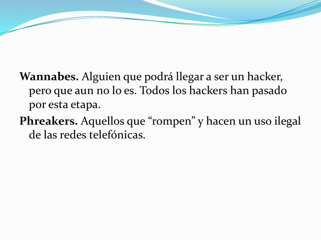 Wannabes. Alguien que podrá llegar a ser un hacker, pero que aun no lo es. Todos los hackers han pasado por esta etapa.
