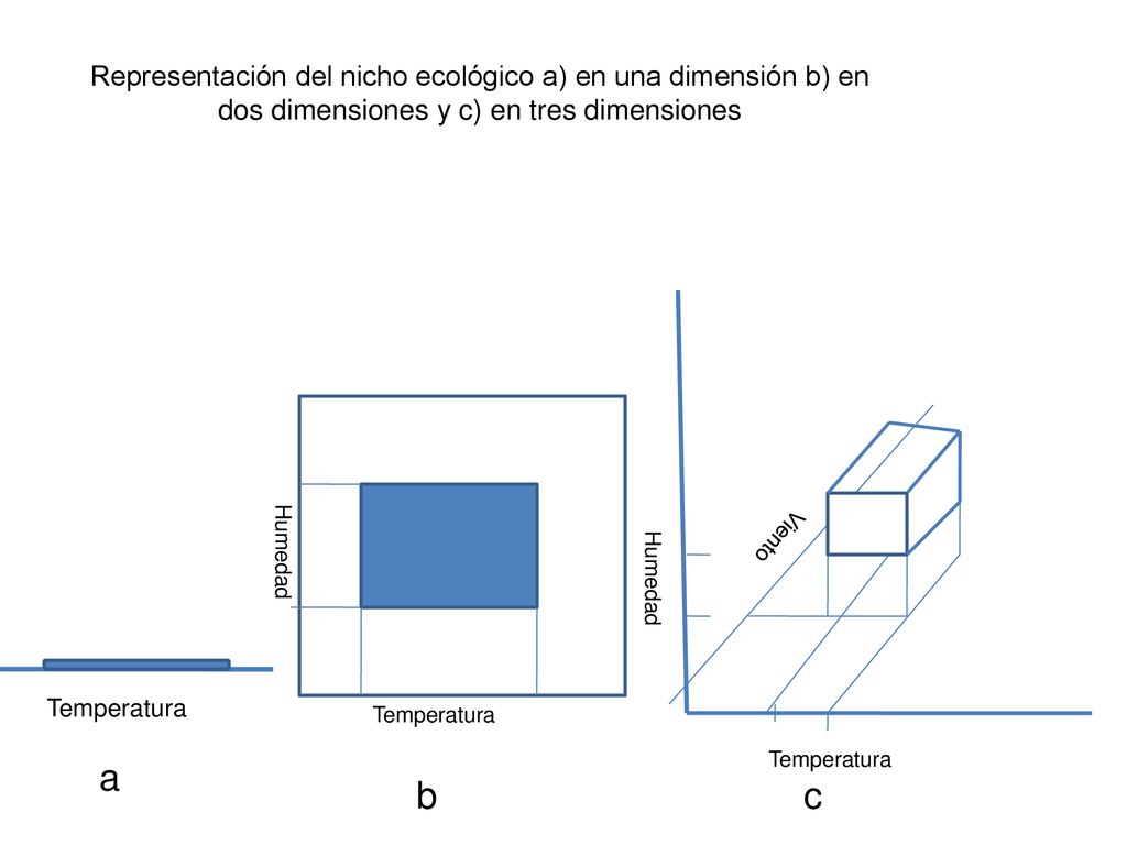 Representación del nicho ecológico a) en una dimensión b) en dos dimensiones y c) en tres dimensiones
