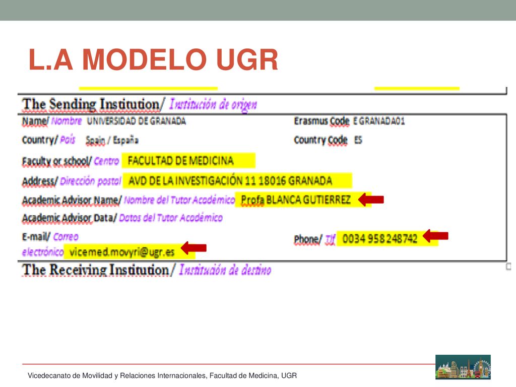 L.A MODELO UGR Vicedecanato de Movilidad y Relaciones Internacionales, Facultad de Medicina, UGR