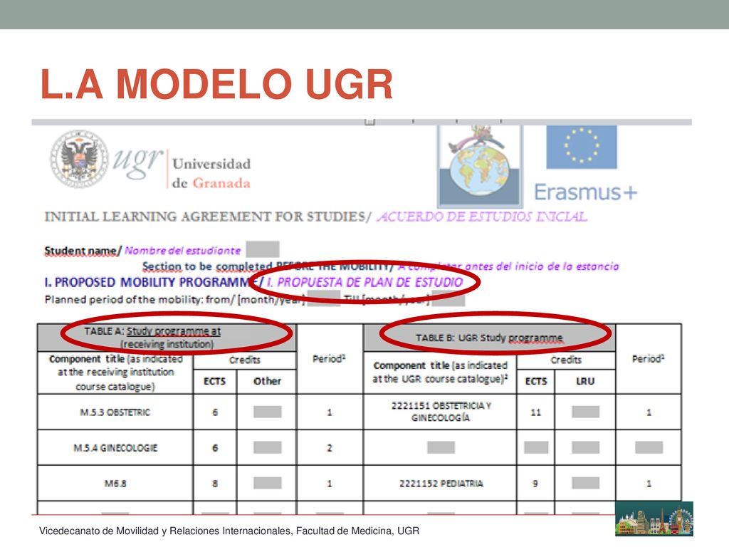 L.A MODELO UGR Vicedecanato de Movilidad y Relaciones Internacionales, Facultad de Medicina, UGR