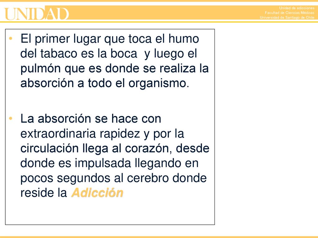 El primer lugar que toca el humo del tabaco es la boca y luego el pulmón que es donde se realiza la absorción a todo el organismo.