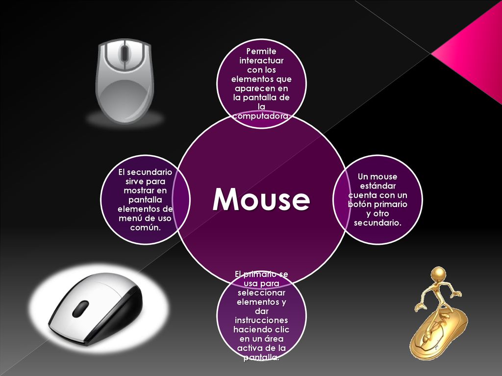 Un mouse estándar cuenta con un botón primario y otro secundario.