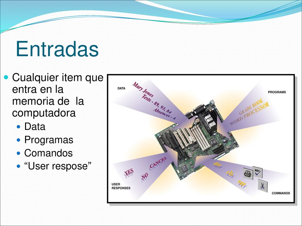 Entradas Cualquier item que entra en la memoria de la computadora Data