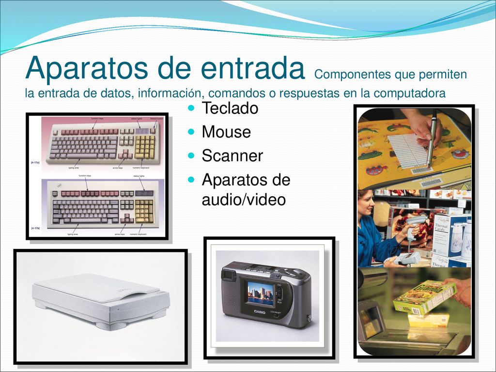 Aparatos de entrada Componentes que permiten la entrada de datos, información, comandos o respuestas en la computadora