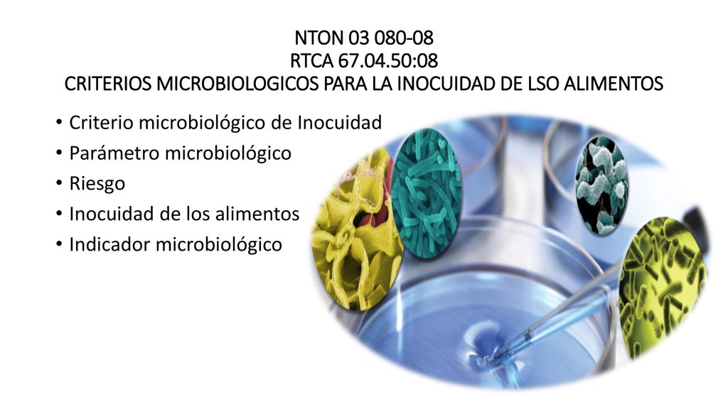NTON RTCA :08 CRITERIOS MICROBIOLOGICOS PARA LA INOCUIDAD DE LSO ALIMENTOS