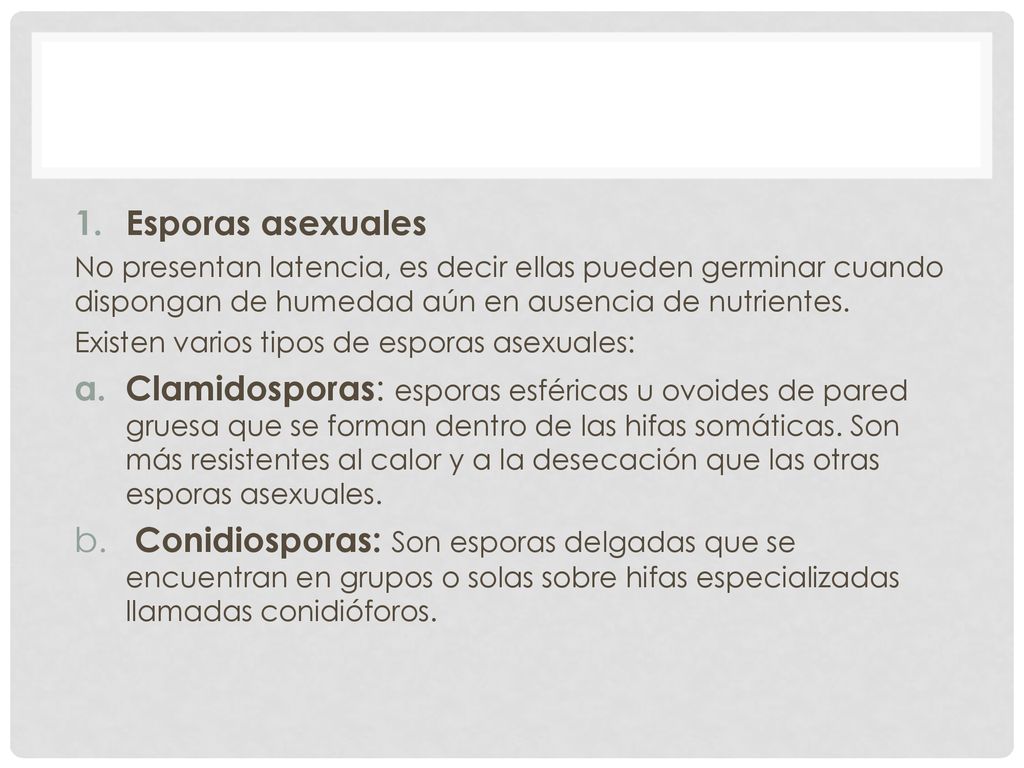 Esporas asexuales No presentan latencia, es decir ellas pueden germinar cuando dispongan de humedad aún en ausencia de nutrientes.