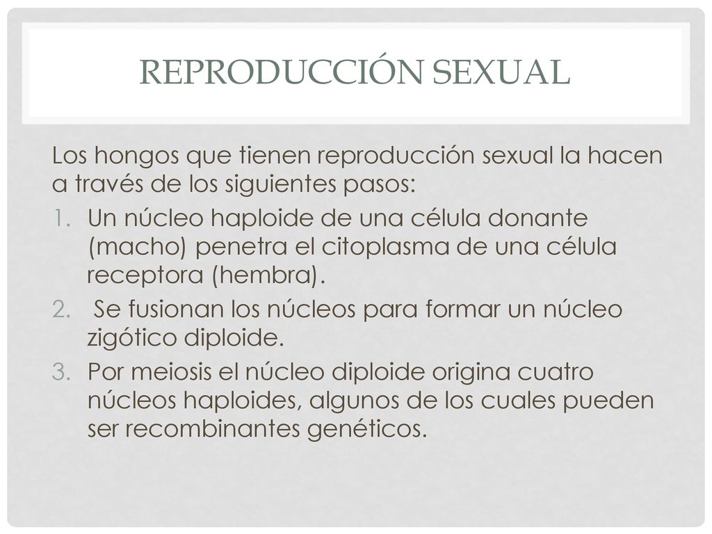 Reproducción sexual Los hongos que tienen reproducción sexual la hacen a través de los siguientes pasos: