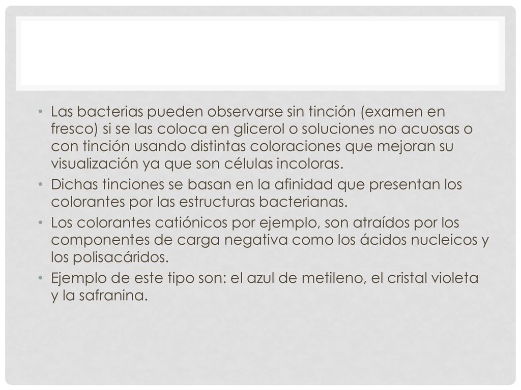 Las bacterias pueden observarse sin tinción (examen en fresco) si se las coloca en glicerol o soluciones no acuosas o con tinción usando distintas coloraciones que mejoran su visualización ya que son células incoloras.