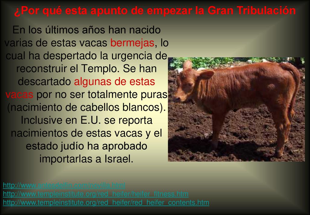 ¿Por qué esta apunto de empezar la Gran Tribulación
