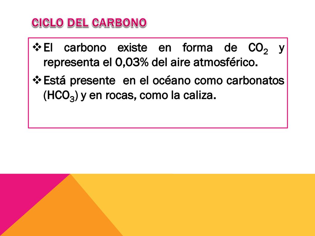 CICLO DEL CARBONO El carbono existe en forma de CO2 y representa el 0,03% del aire atmosférico.
