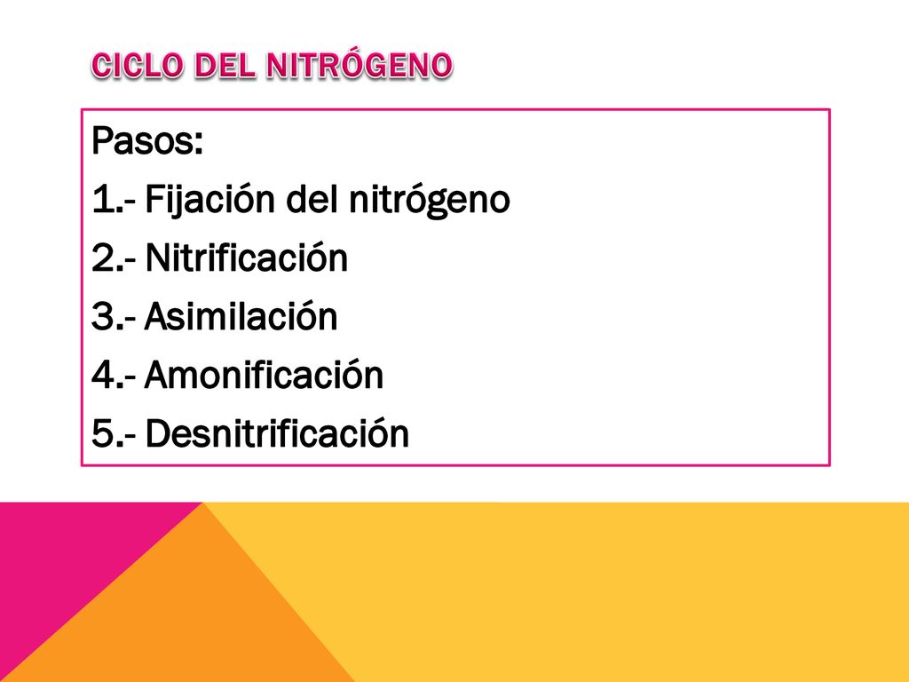 CICLO DEL NITRÓGENO Pasos: 1.- Fijación del nitrógeno 2.- Nitrificación 3.- Asimilación 4.- Amonificación 5.- Desnitrificación