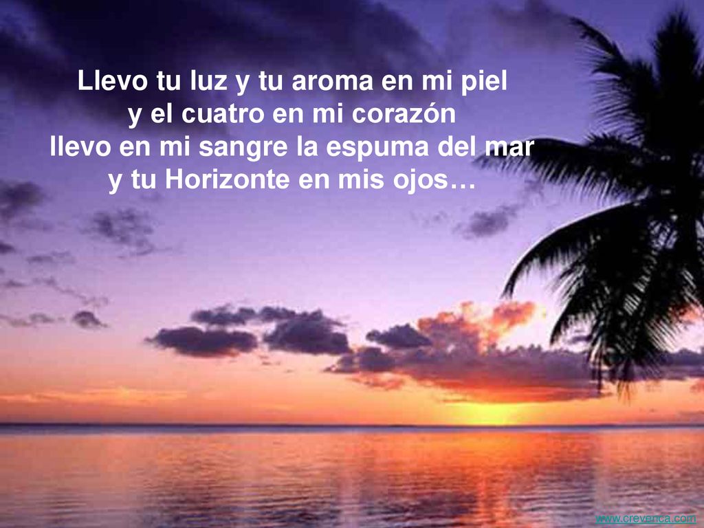 Llevo tu luz y tu aroma en mi piel y el cuatro en mi corazón llevo en mi sangre la espuma del mar y tu Horizonte en mis ojos…