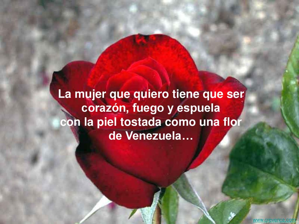 La mujer que quiero tiene que ser corazón, fuego y espuela con la piel tostada como una flor de Venezuela…