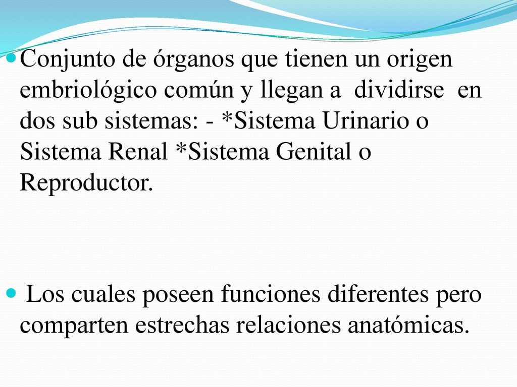 Conjunto de órganos que tienen un origen embriológico común y llegan a dividirse en dos sub sistemas: - *Sistema Urinario o Sistema Renal *Sistema Genital o Reproductor.