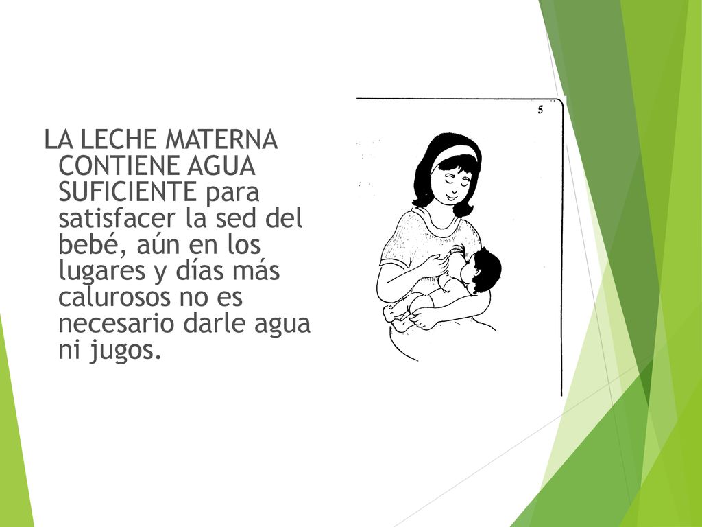 LA LECHE MATERNA CONTIENE AGUA SUFICIENTE para satisfacer la sed del bebé, aún en los lugares y días más calurosos no es necesario darle agua ni jugos.