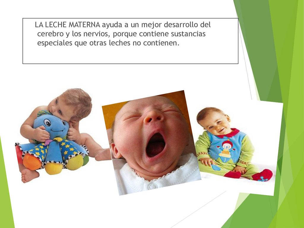LA LECHE MATERNA ayuda a un mejor desarrollo del cerebro y los nervios, porque contiene sustancias especiales que otras leches no contienen.