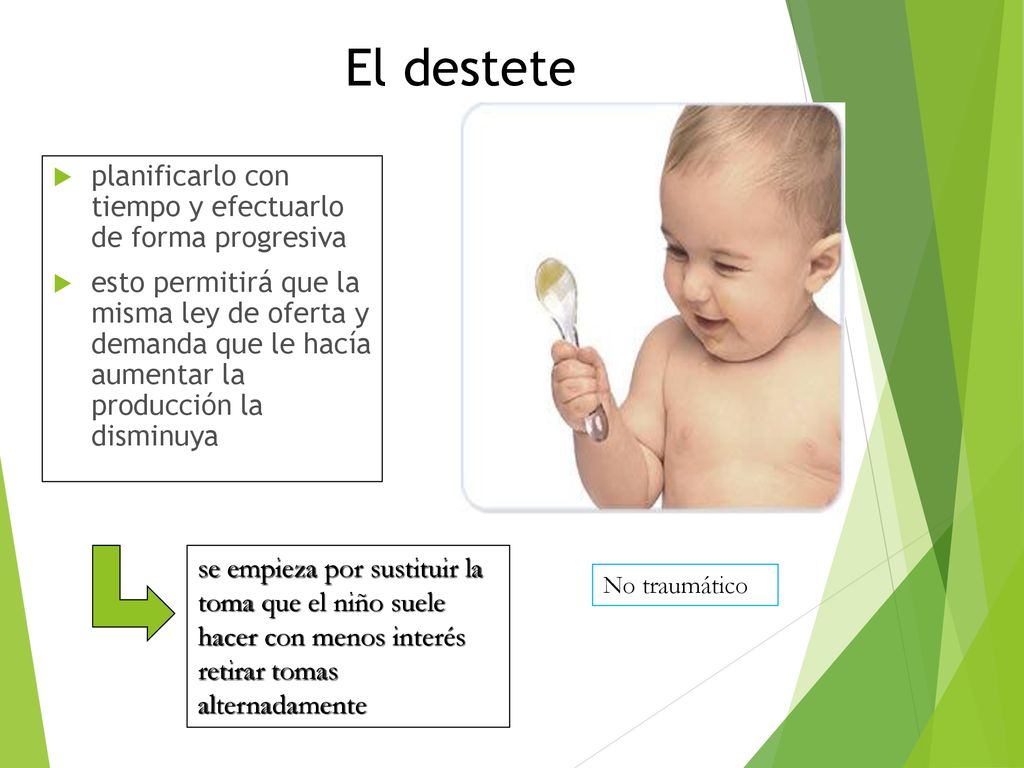 El destete planificarlo con tiempo y efectuarlo de forma progresiva