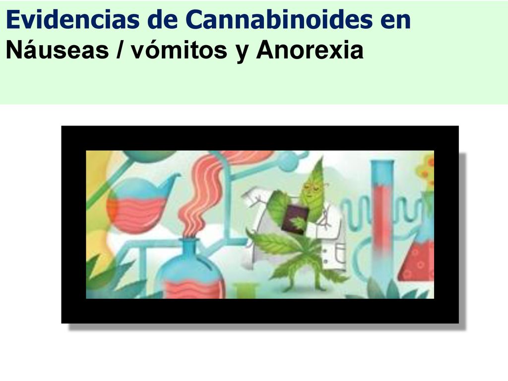 Evidencias de Cannabinoides en Náuseas / vómitos y Anorexia