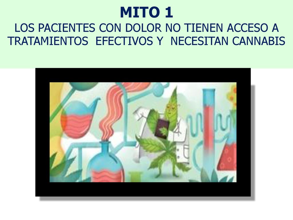 MITO 1 LOS PACIENTES CON DOLOR NO TIENEN ACCESO A TRATAMIENTOS EFECTIVOS Y NECESITAN CANNABIS