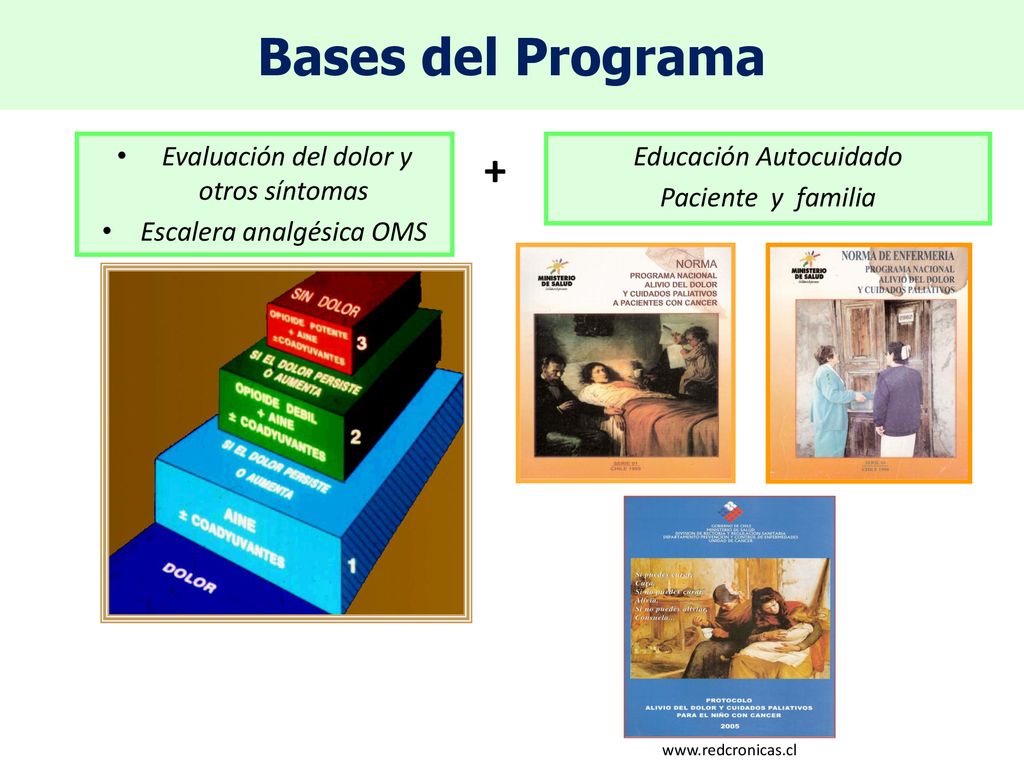 Bases del Programa + Evaluación del dolor y otros síntomas