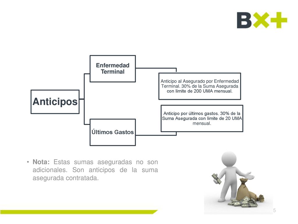 Anticipos Enfermedad Terminal. Anticipo al Asegurado por Enfermedad Terminal. 30% de la Suma Asegurada con límite de 200 UMA mensual.