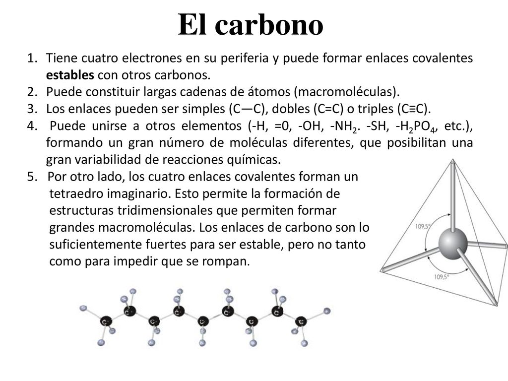 El carbono Tiene cuatro electrones en su periferia y puede formar enlaces covalentes estables con otros carbonos.