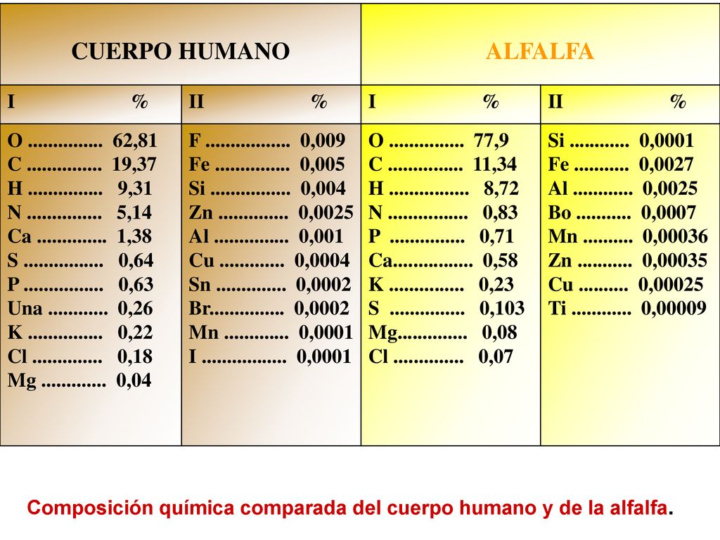 CUERPO HUMANO ALFALFA I % II % I % O ,81