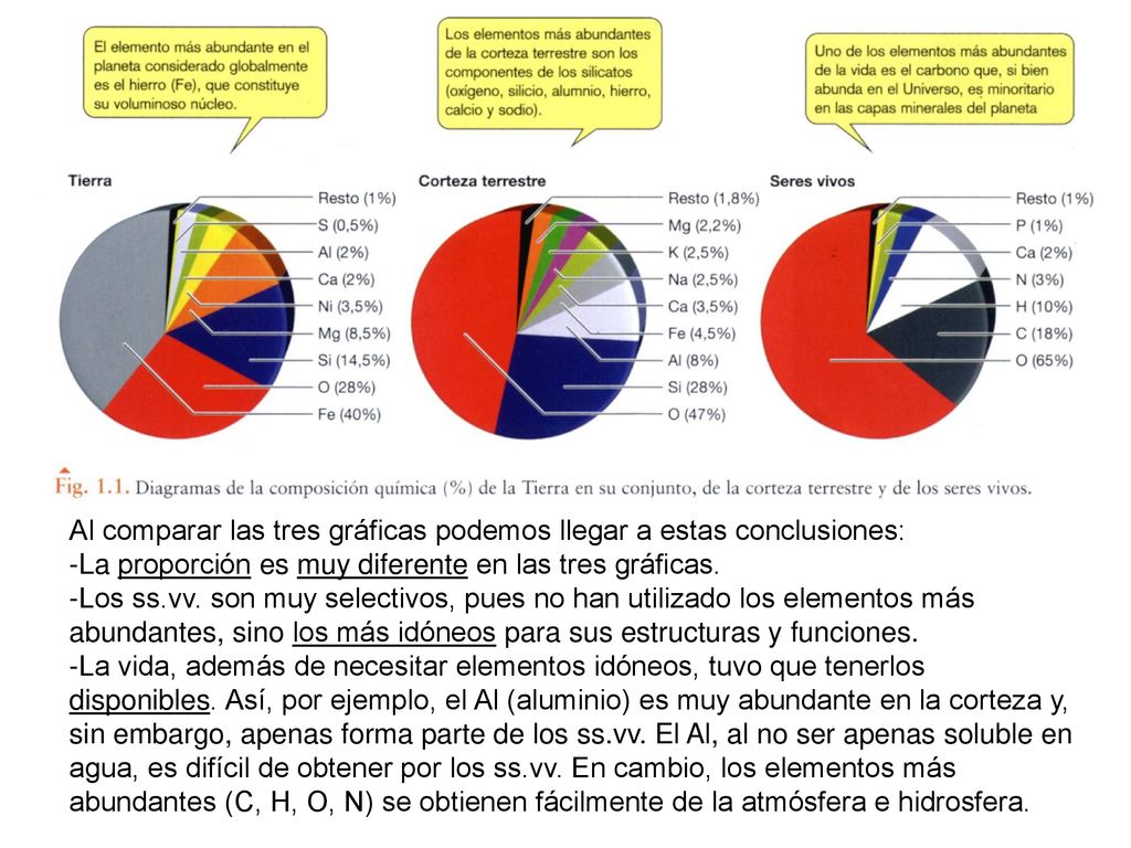 Al comparar las tres gráficas podemos llegar a estas conclusiones: