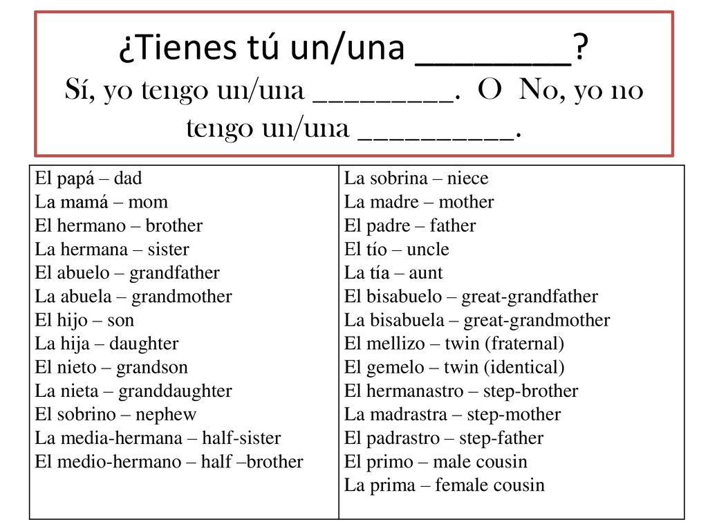 ¿Tienes tú un/una ________. Sí, yo tengo un/una _________