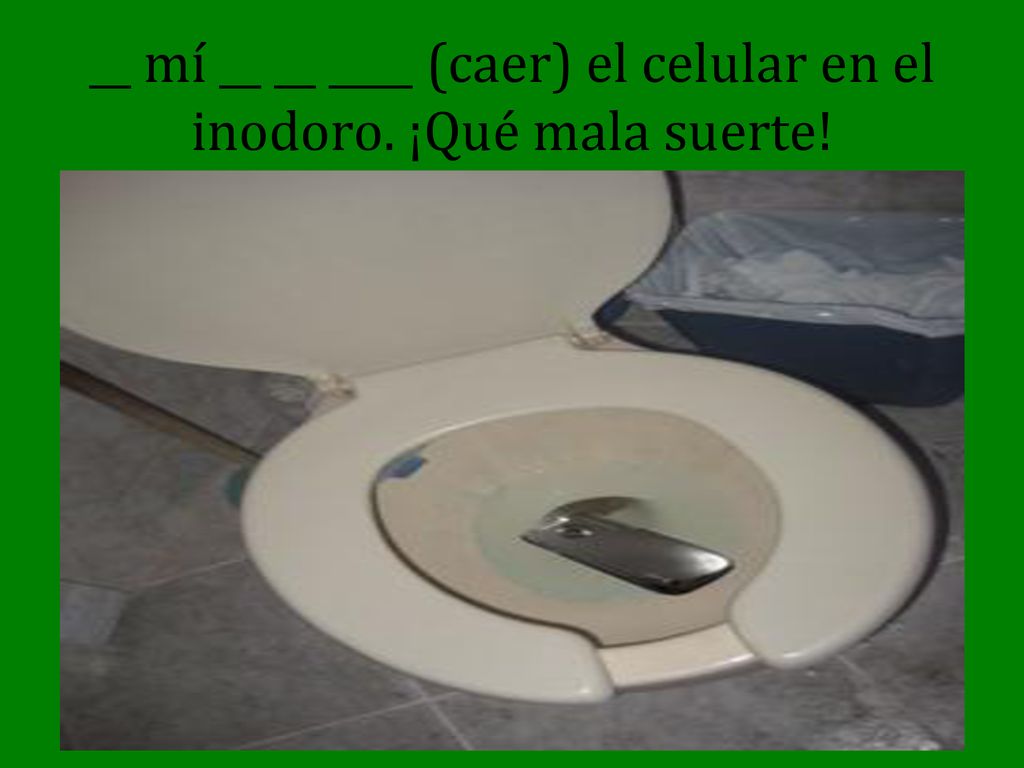 __ mí __ __ ____ (caer) el celular en el inodoro. ¡Qué mala suerte!