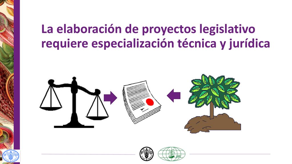 La elaboración de proyectos legislativo requiere especialización técnica y jurídica