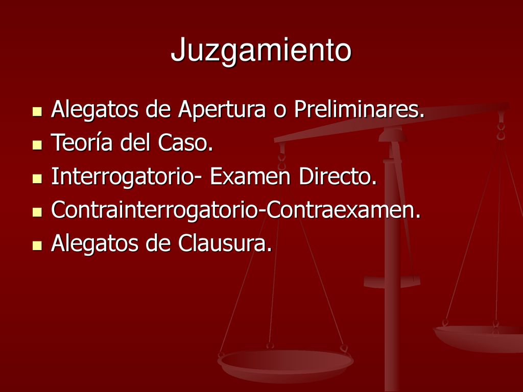 Juzgamiento Alegatos de Apertura o Preliminares. Teoría del Caso.