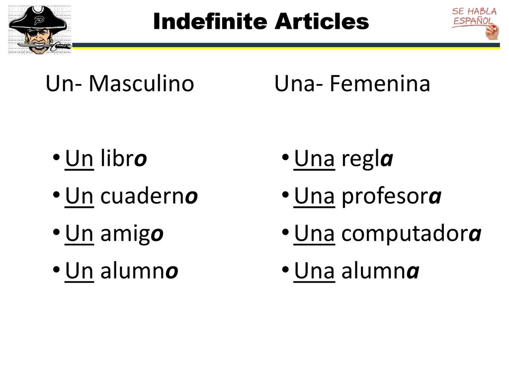 Un- Masculino Un libro Un cuaderno Un amigo Un alumno Una- Femenina